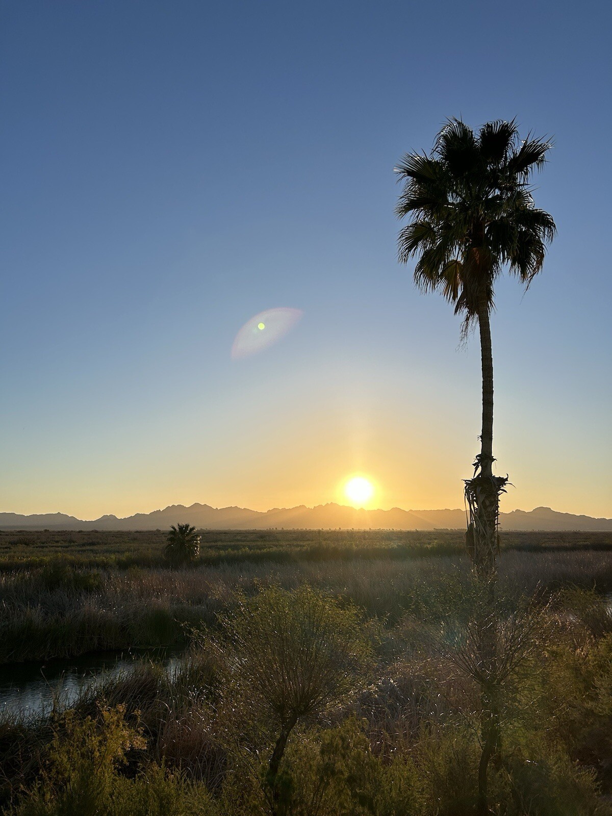 Sunrises & Inspirations