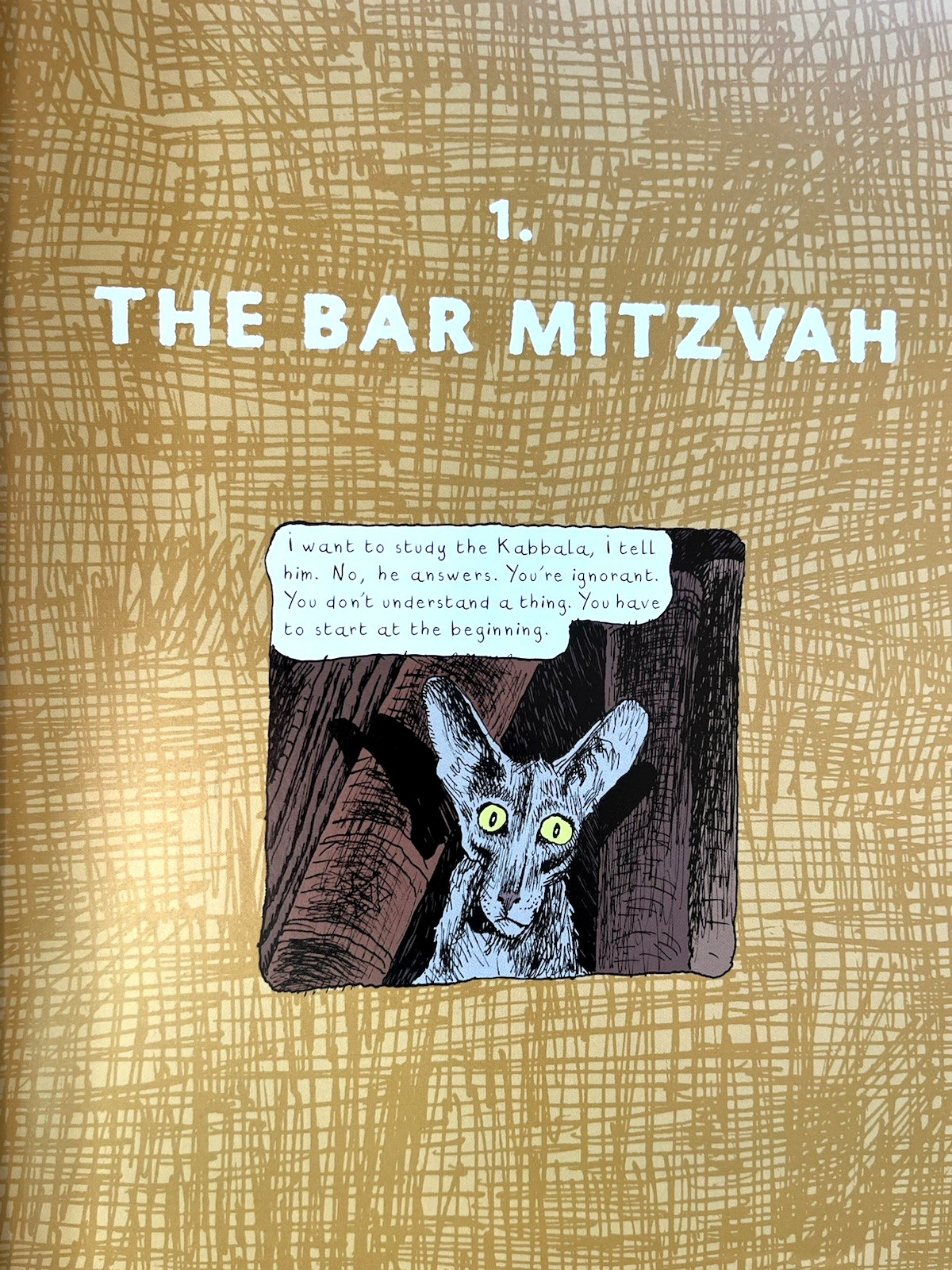 The Rabbi&rsquo;s Cat graphic novel (2005 1st American paperback edition, SC) Like New