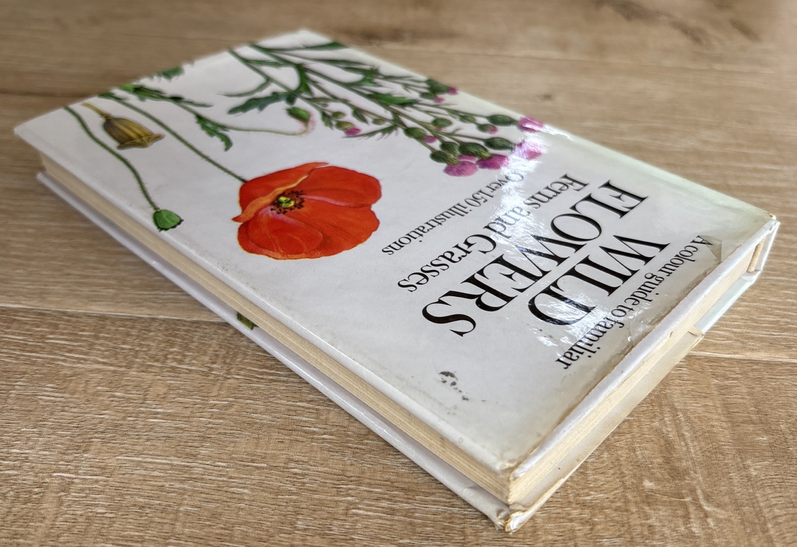 WILD FLOWERS FERNS AND GRASSES Bohumil Slavik 1975 HCDJ Octopus Czech Guide Vtg