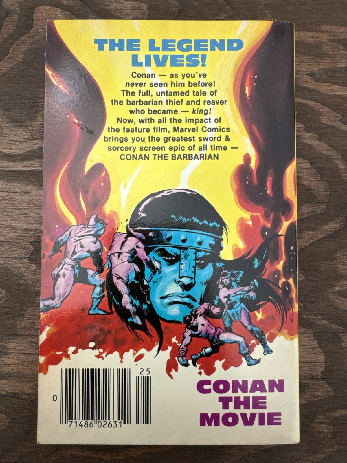 Conan the Barbarian – 1st Edtn Marvel Comics Illustrated Book Movie Adaptation