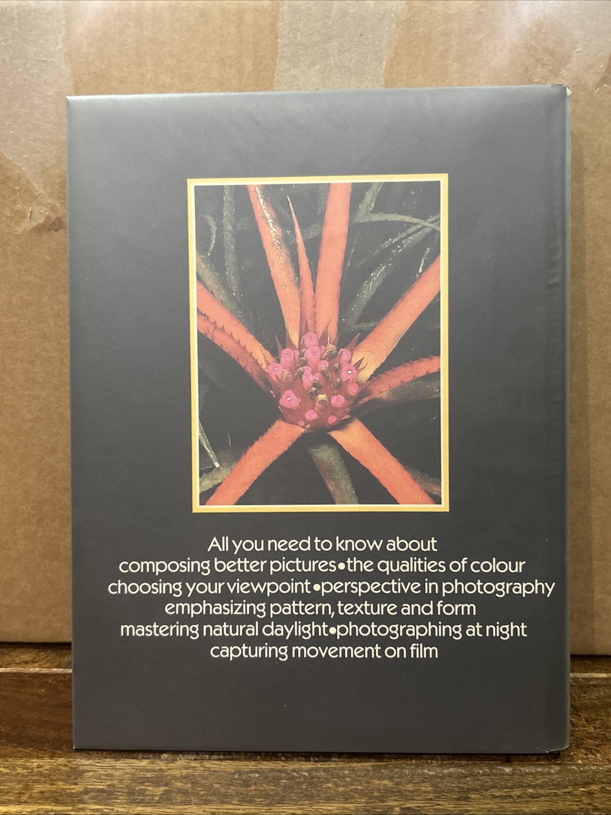 SUCCESSFUL COLOUR PHOTOGRAPHY: THE COMPLETE GUIDE TO … by C Angeloglou