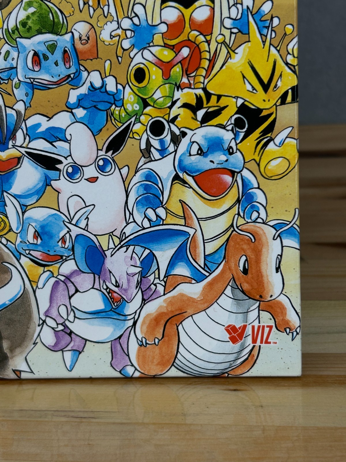 Let&rsquo;s Find Pokémon! Special Complete Edition Hardcover