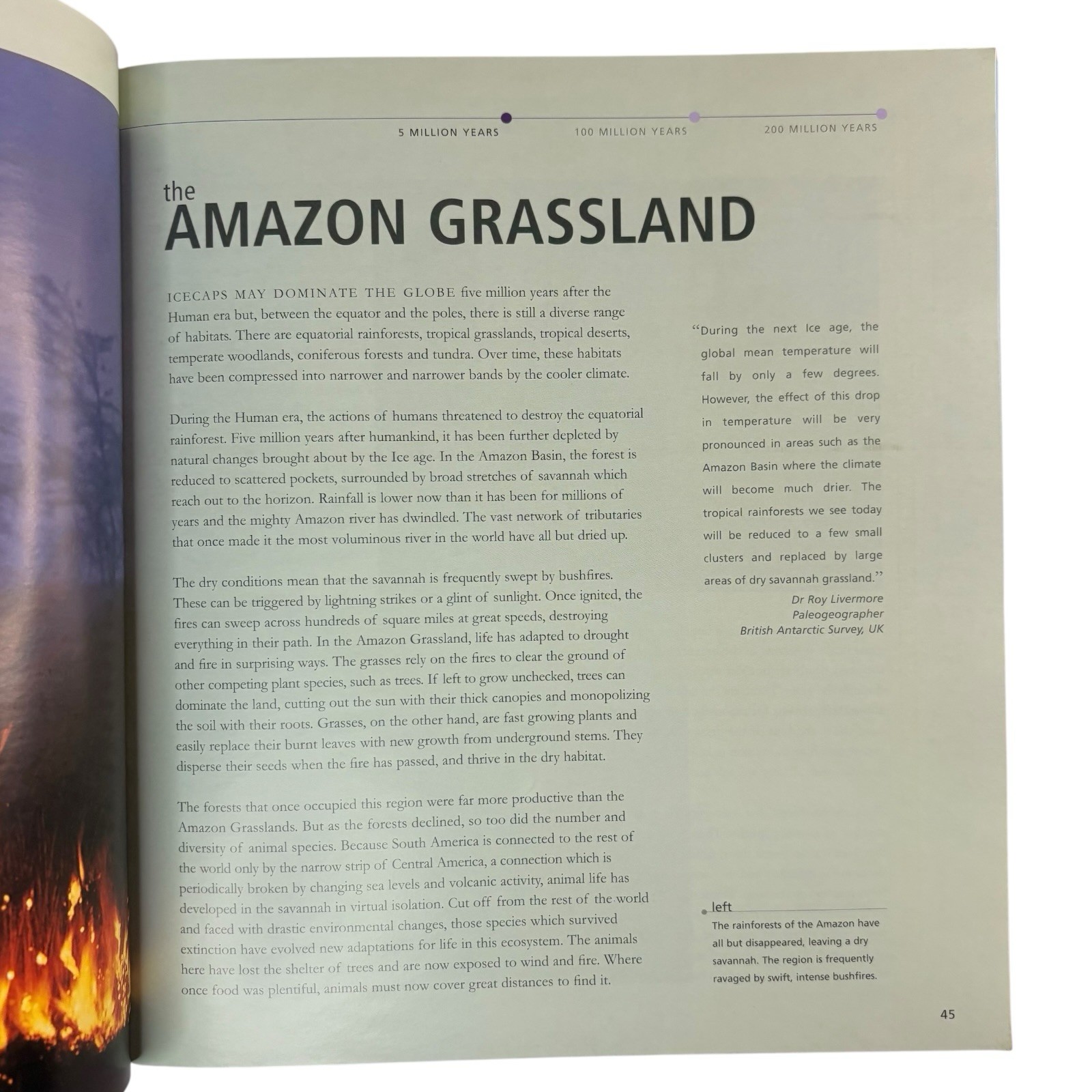 VTG FIRST PRINTING « Future Is Wild » by John Adams (2003, Large Trade Paperback)