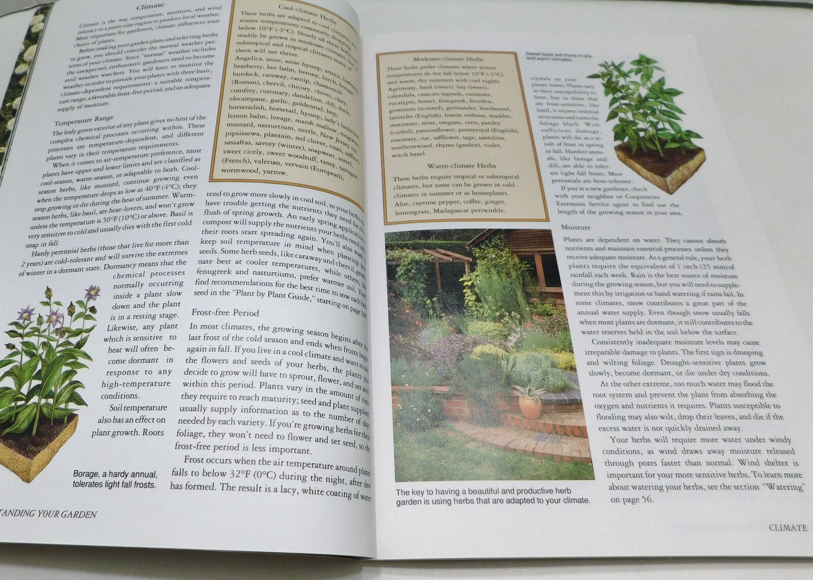 Rodale&rsquo;s Successful Organic Gardening: Herbs 300 color photos 50 illustratration