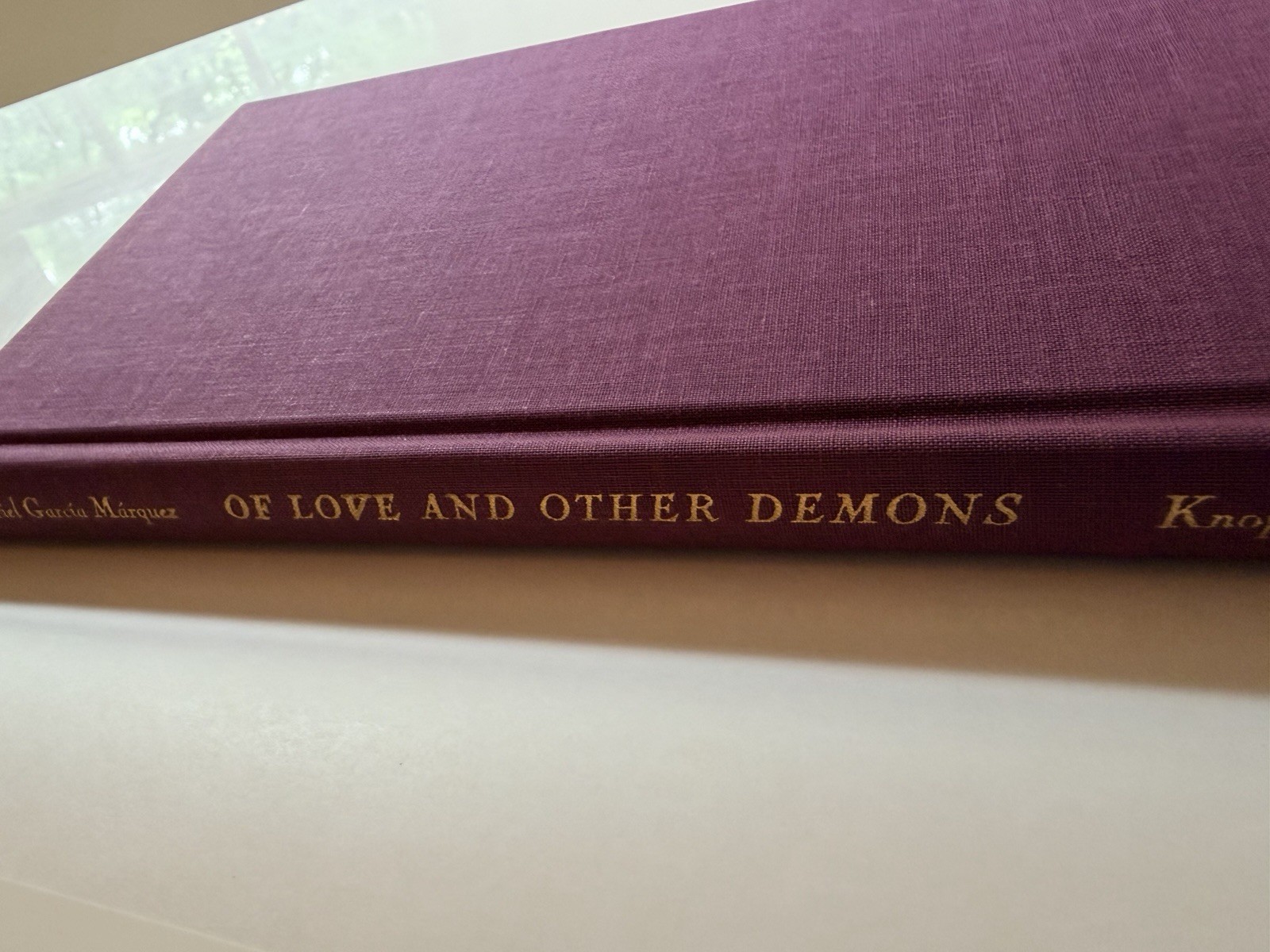 Of Love and Other Demons by Gabriel García Márquez 1st DJ HC 1995 First Edition