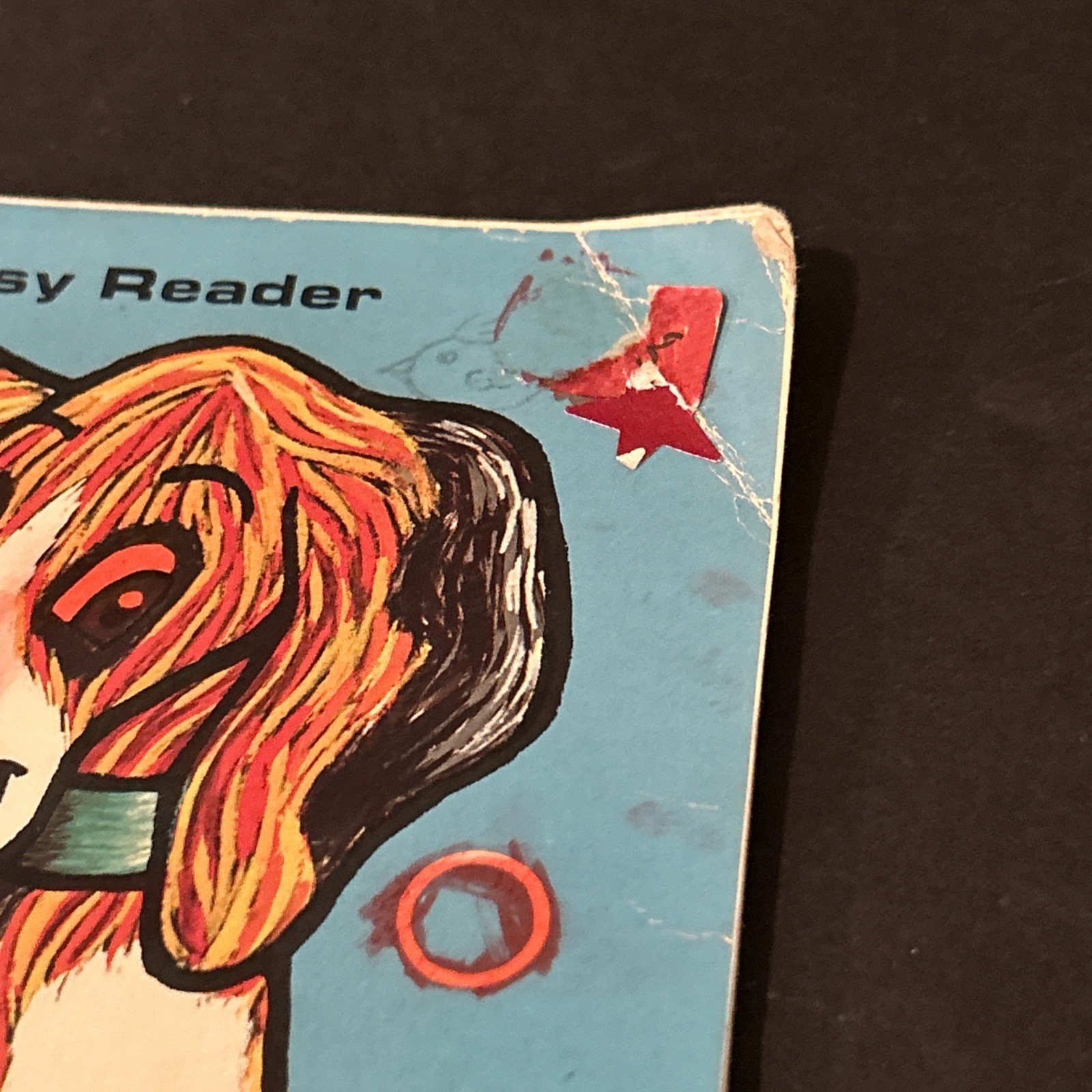 A Bath for a Beagle Paperback A First-Start Easy Reader Animals Dogs
