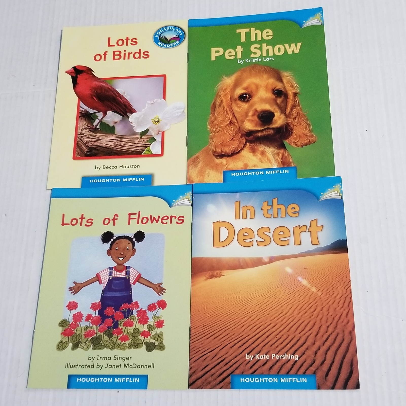 Phonics Learn to Read Bundle Lot 23 Leveled Readers Kindergarten 1st Homeschool