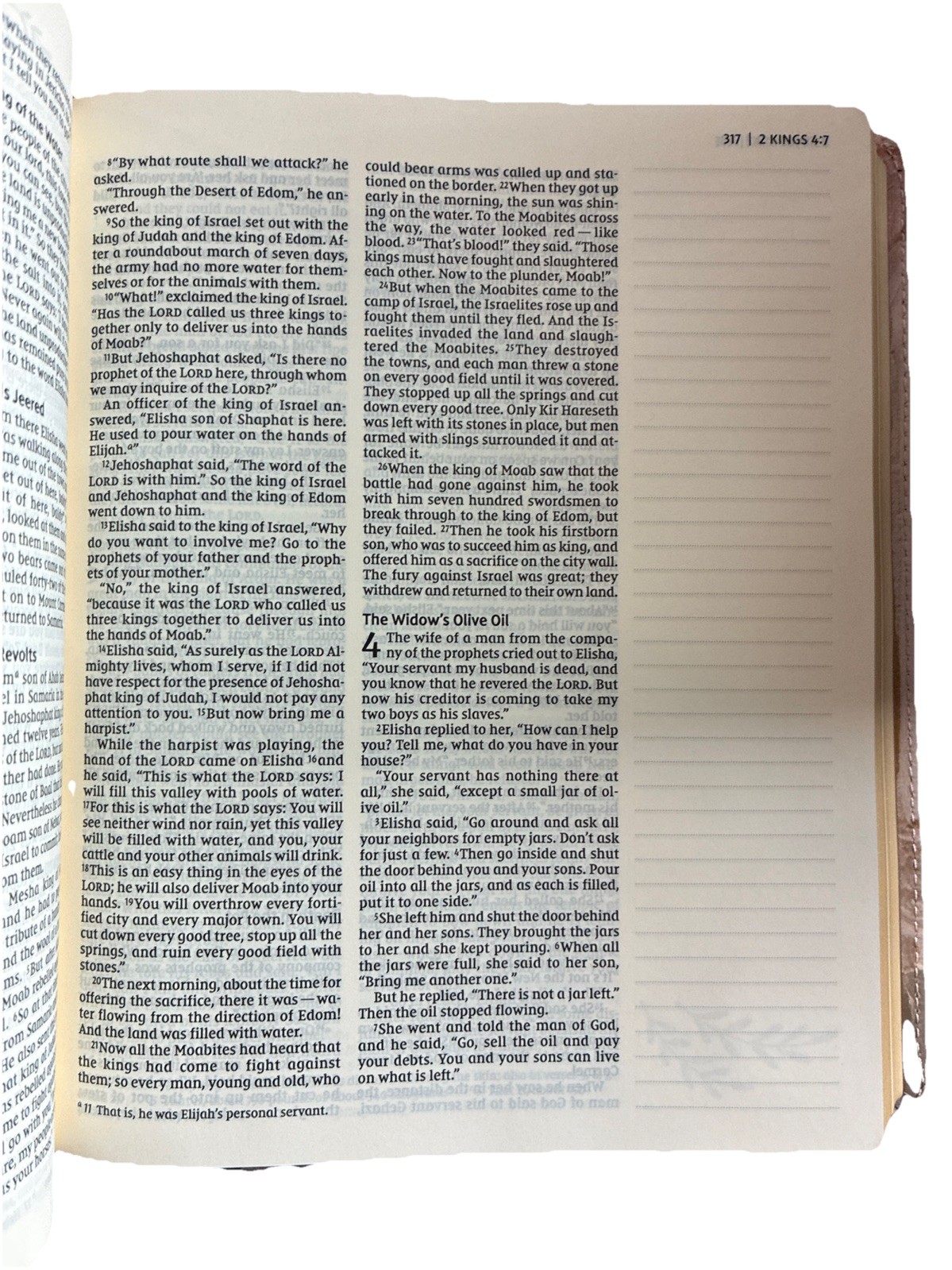 Nrsvue, Artisan Collection Bible, Leathersoft, Multi-Color/Cream, Comfort Print