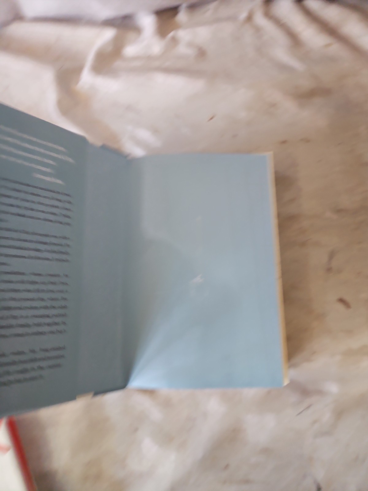 SIGNED « Bridge of Clay » By Markus Zusak 2018 First Edition