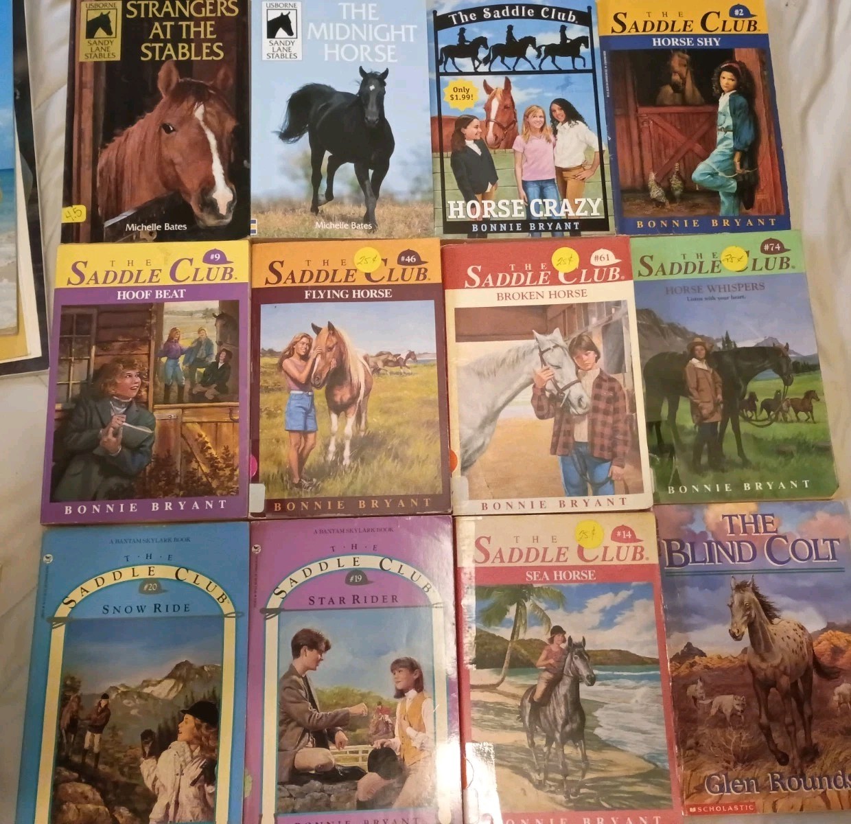 Lot 60+ Vintage to Now Children&rsquo;s Chapter Books On Horses Saddle Club More Read