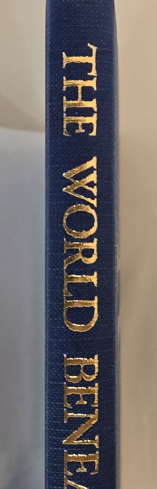 Dinotopia: The World Beneath 1st Edition/Printing Hardcover James Gurney 1995