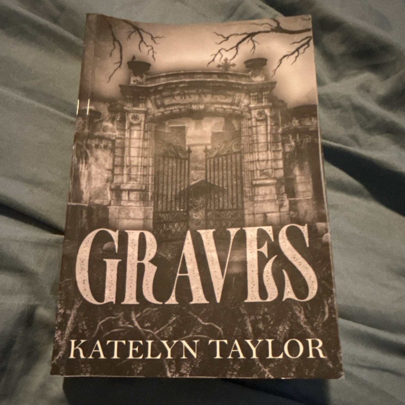 Katelyn Taylor Graves Paperback Fiction Novel for Young Adults