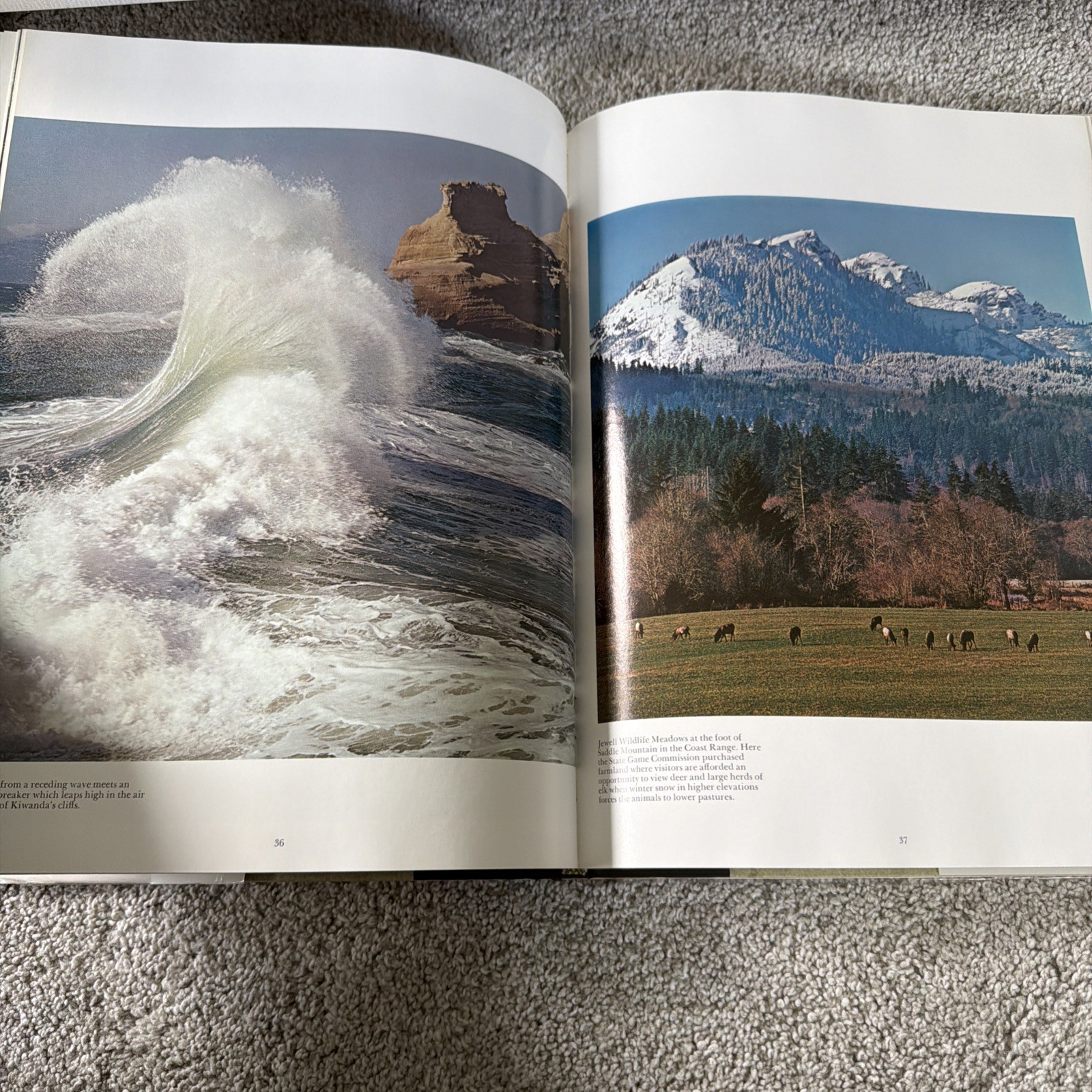 OREGON COAST BY RAY ATKESON. USED HARD COVER BOOK. 1972