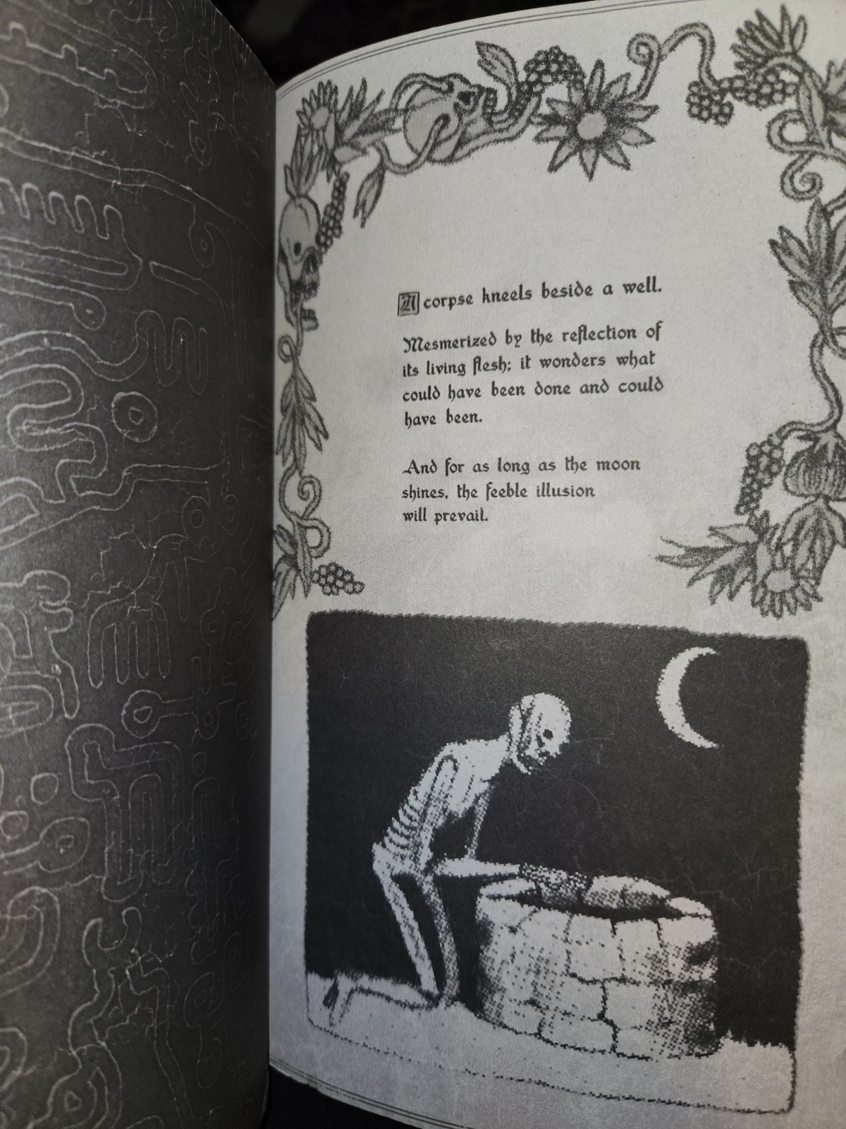 Vermis I 1 Lost Dungeons and Forbidden Woods Official Guide Plastiboo