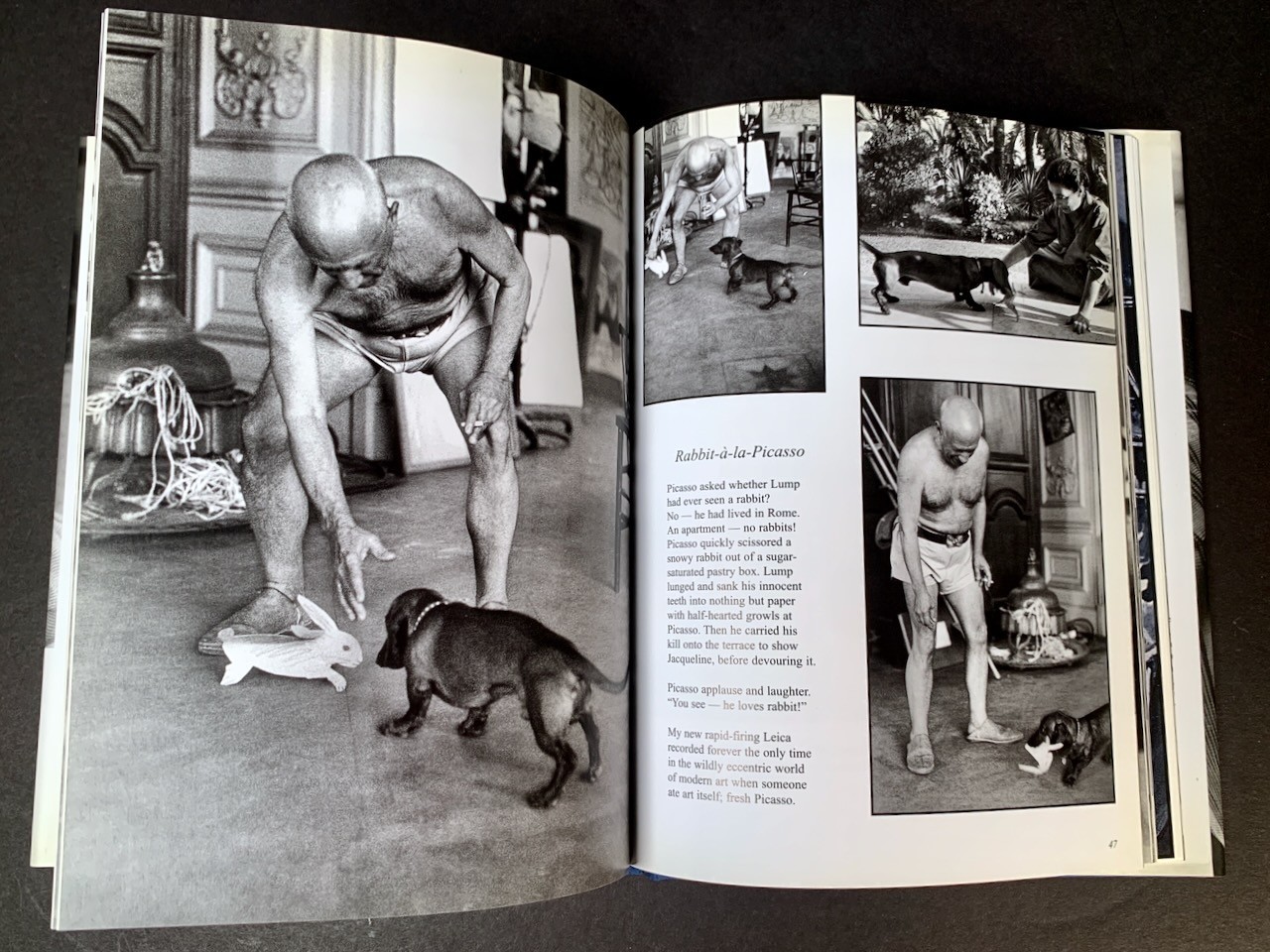PICASSO & LUMP: A Dachshund&rsquo;s Odyssey – David Douglas Duncan – HC/First Edition