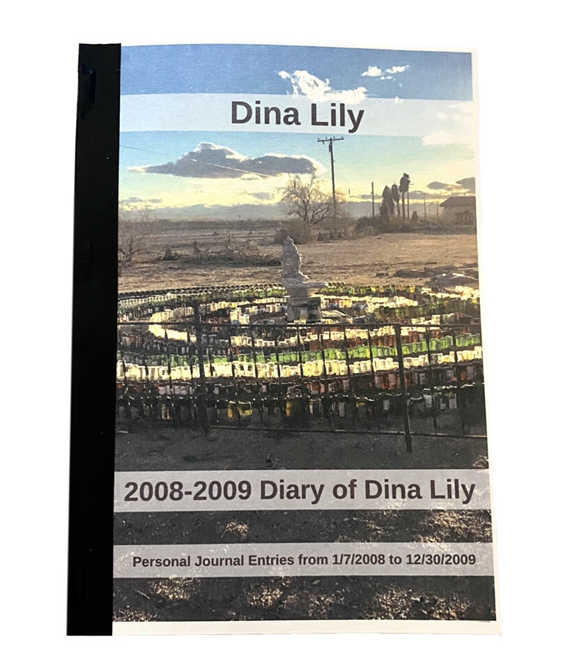2008-2009 Used Handwritten Diary Dina Lilys Journal print copy vintage 103 pages