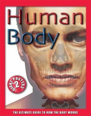 Human Body: The Ultimate Guide to How the Body Works by Farndon, John