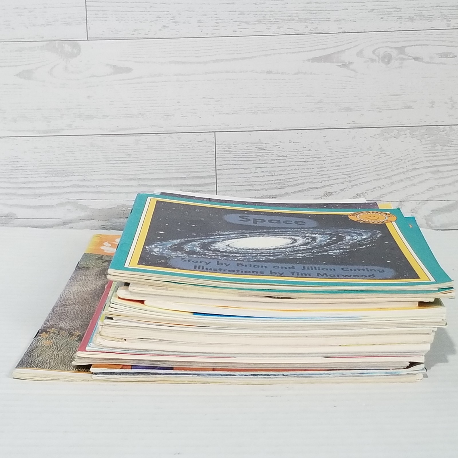 Phonics Learn to Read Bundle Lot 23 Leveled Readers Kindergarten 1st Homeschool