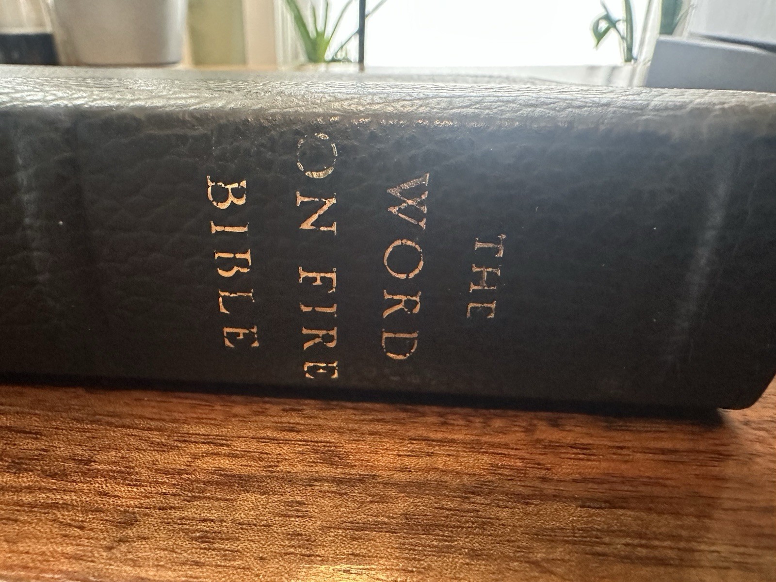 Word on Fire Bible Volume 1 The Gospels Leather Binding Bookmark Gold Gilt