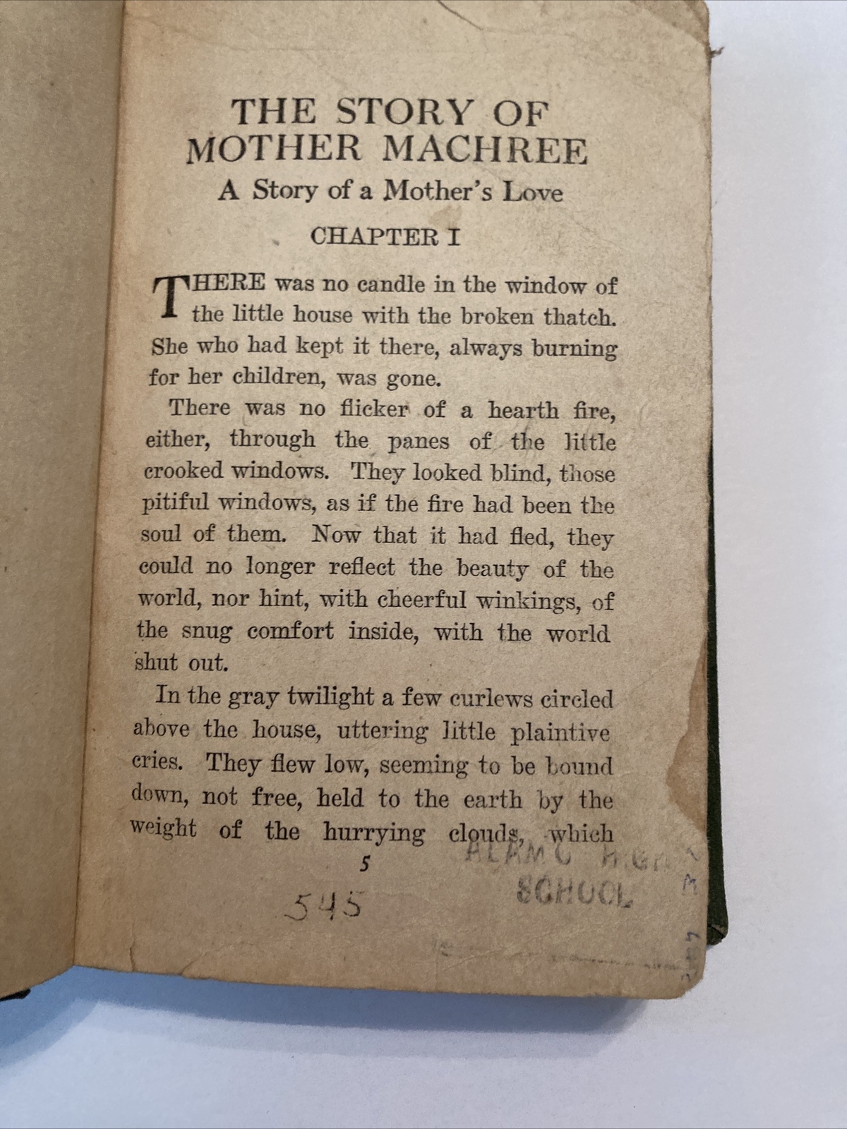 1924 THE STORY OF MOTHER MACHREE A STORY OF A MOTHER&rsquo;S LOVE Rida Johnson Young
