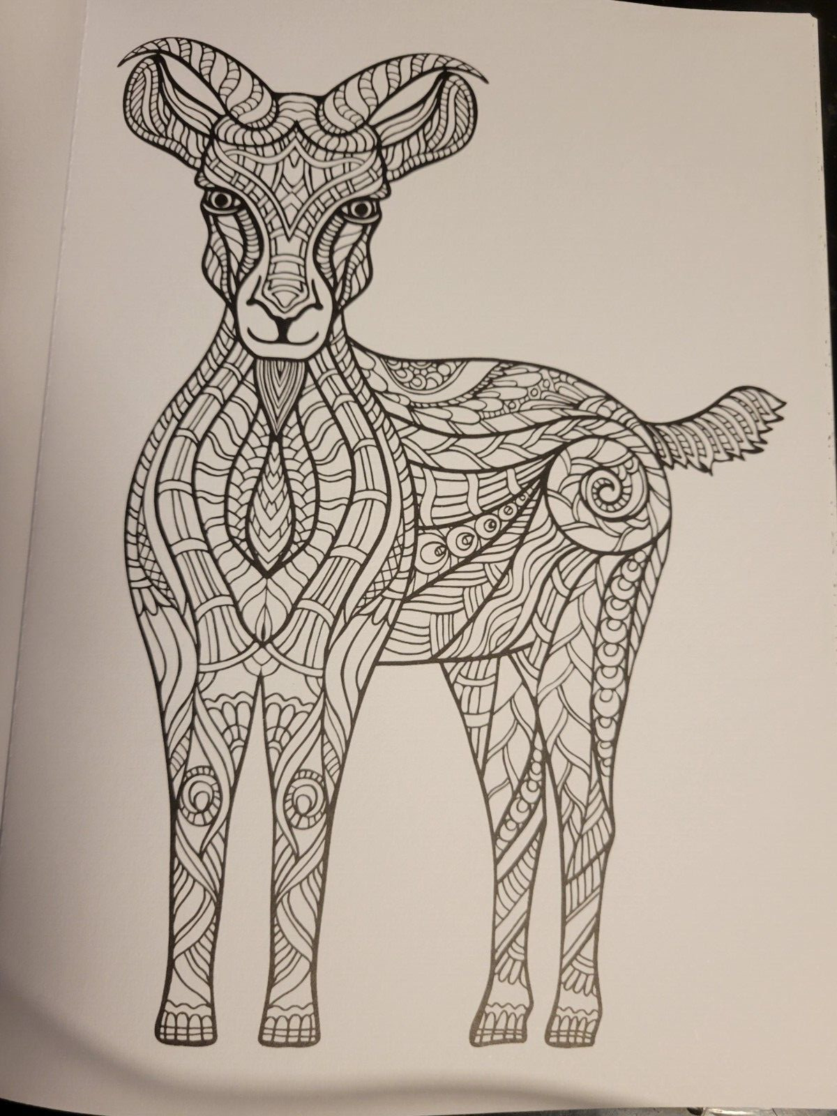 MAJESTIC CREATURES Vol 13 Adult Coloring Book With 47 Prints Ready To Frame