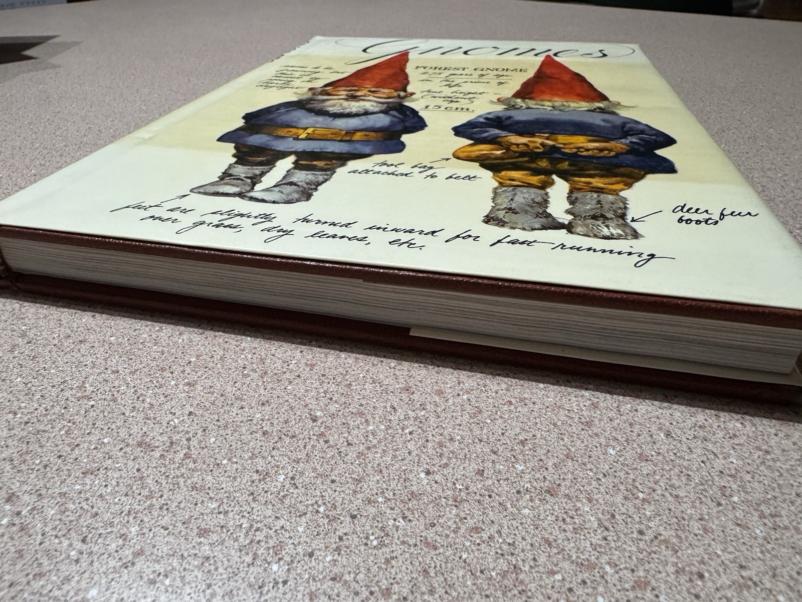 Gnomes by Huygen & Poortvliet 1976 1st Edition