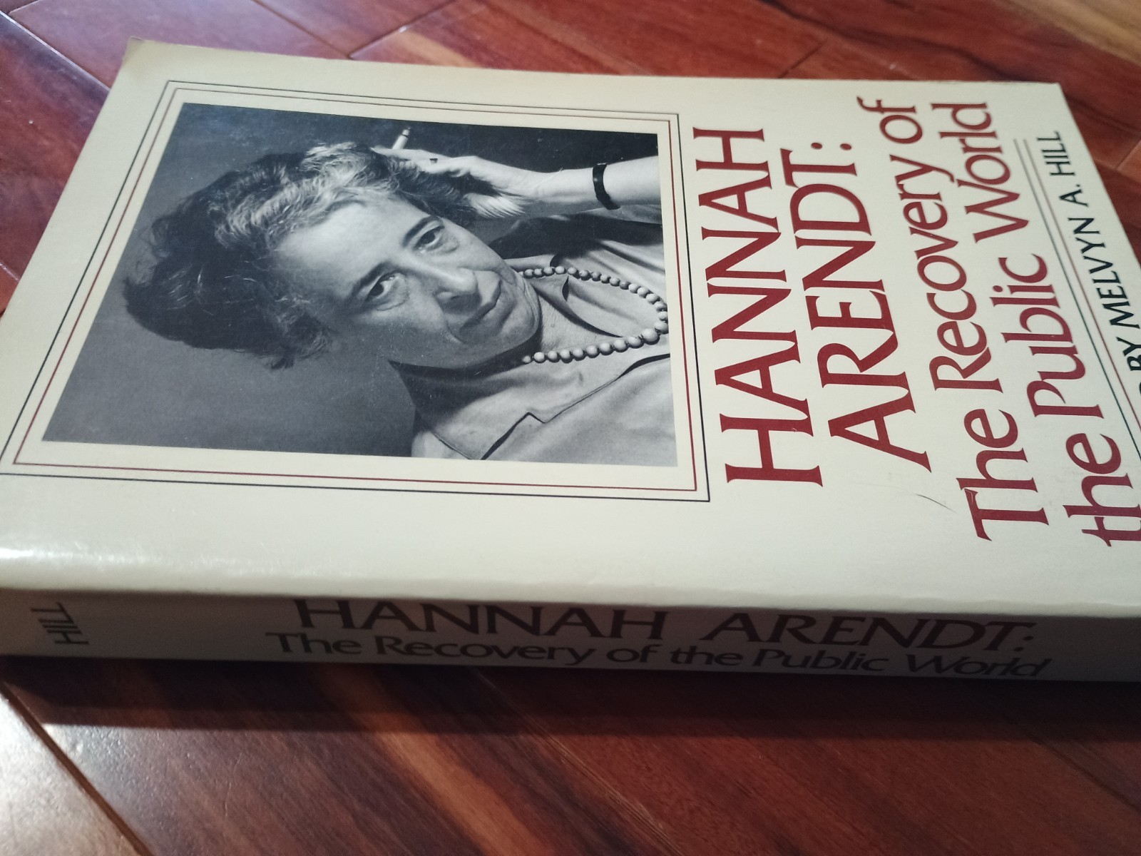 Hannah Arendt: The Recovery of the Public World Edited by Melvyn A. Hill 1979