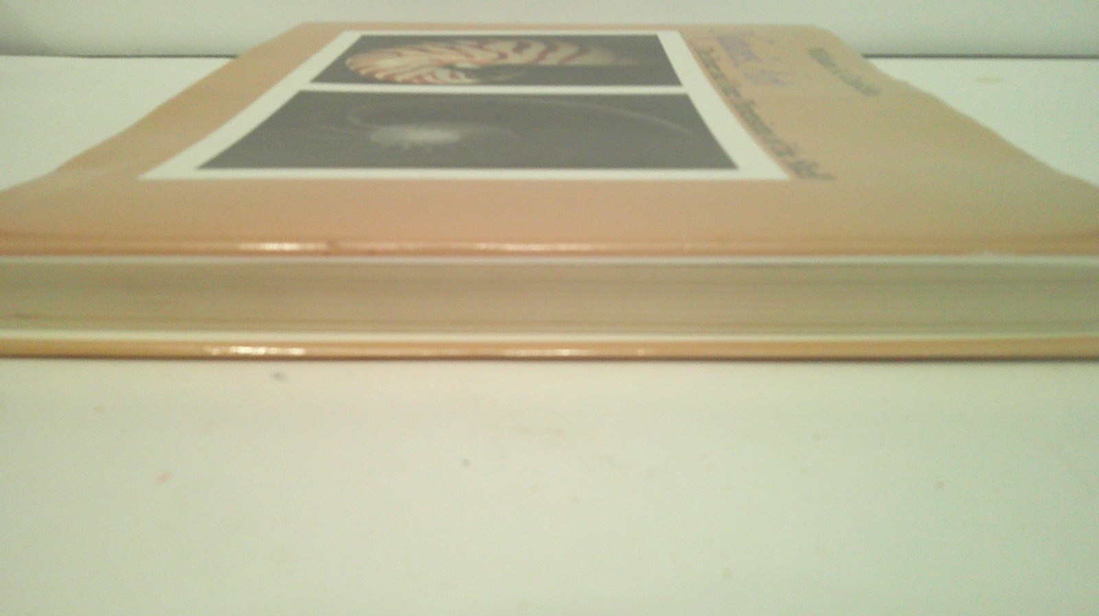 Nature&rsquo;s Art : The Inner and Outer Dimensions of the Shell by William A. Conklin