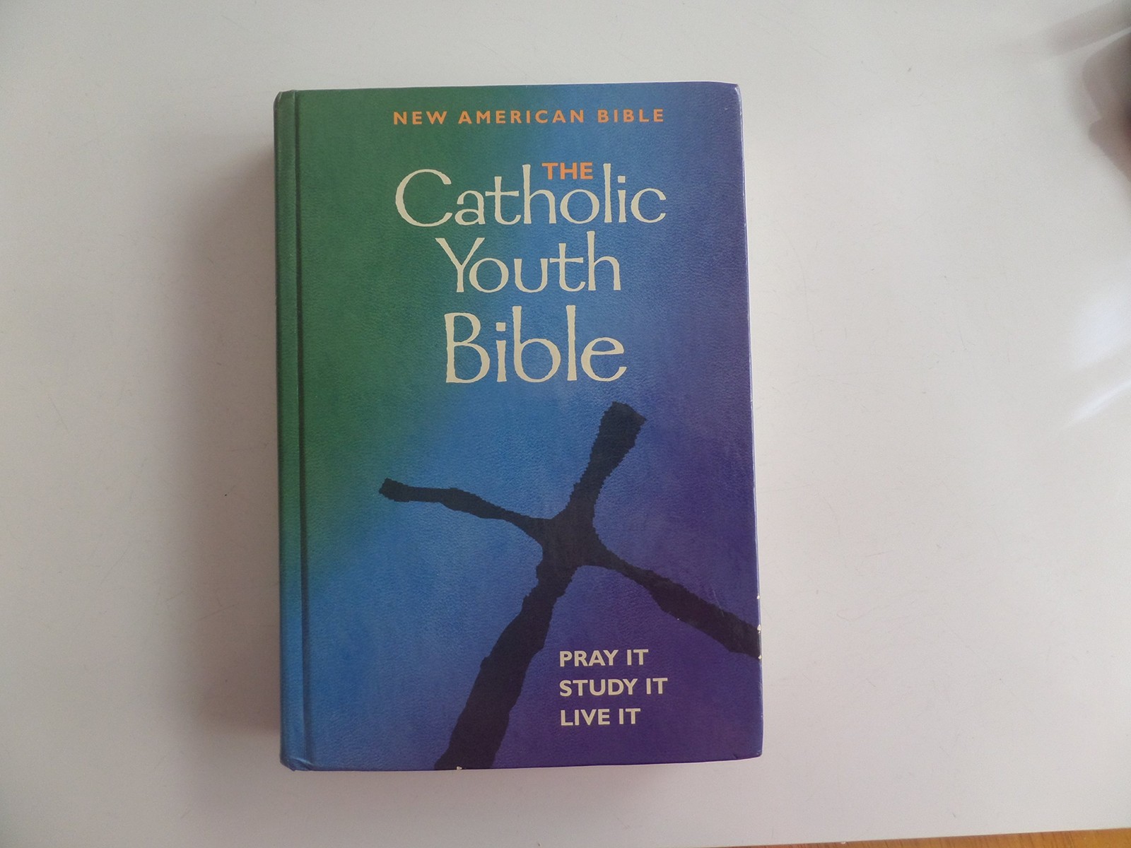 The Catholic Youth Bible, Revised: New American Bible