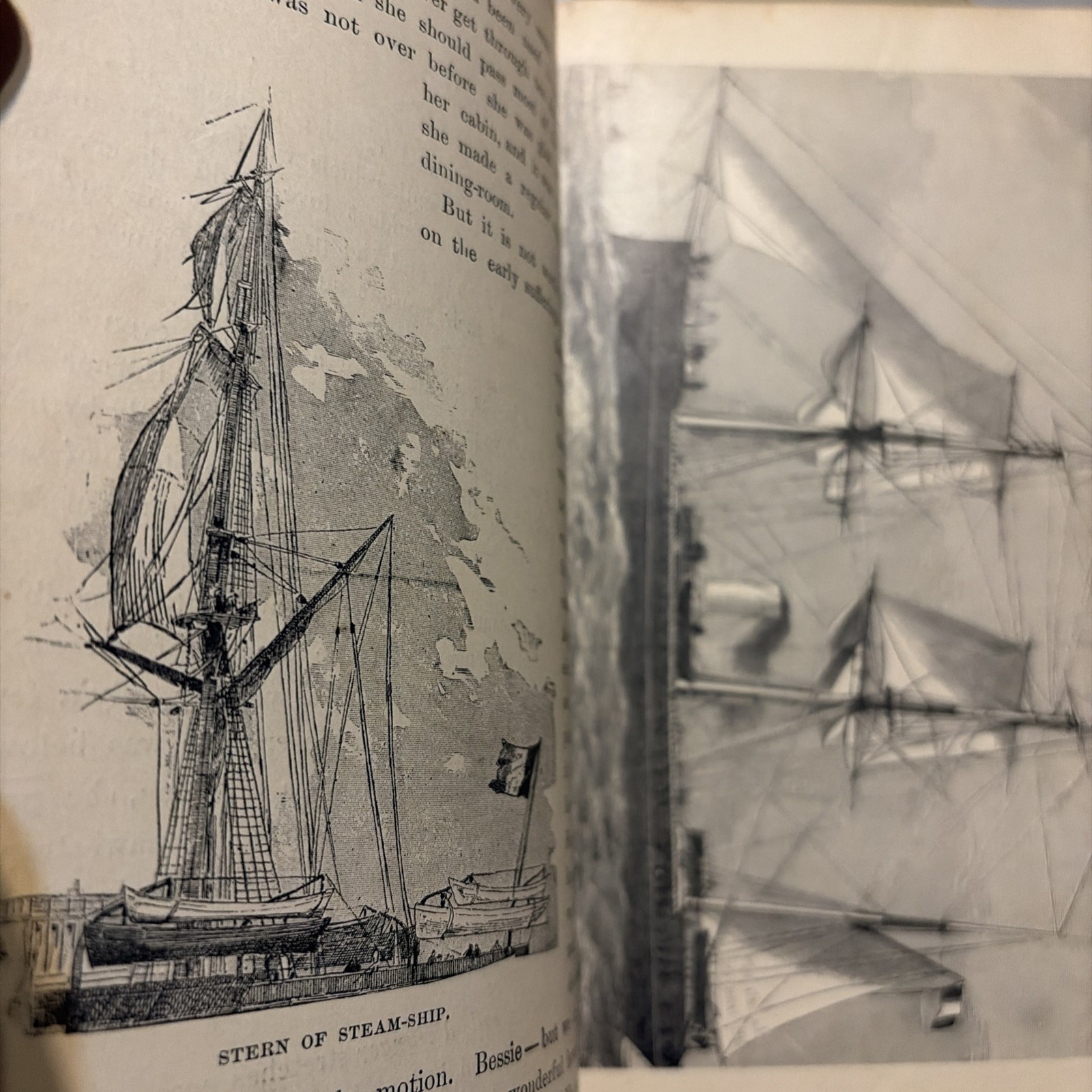 A family flight through France, Germany, Norway and Switzerland 1881 edition!