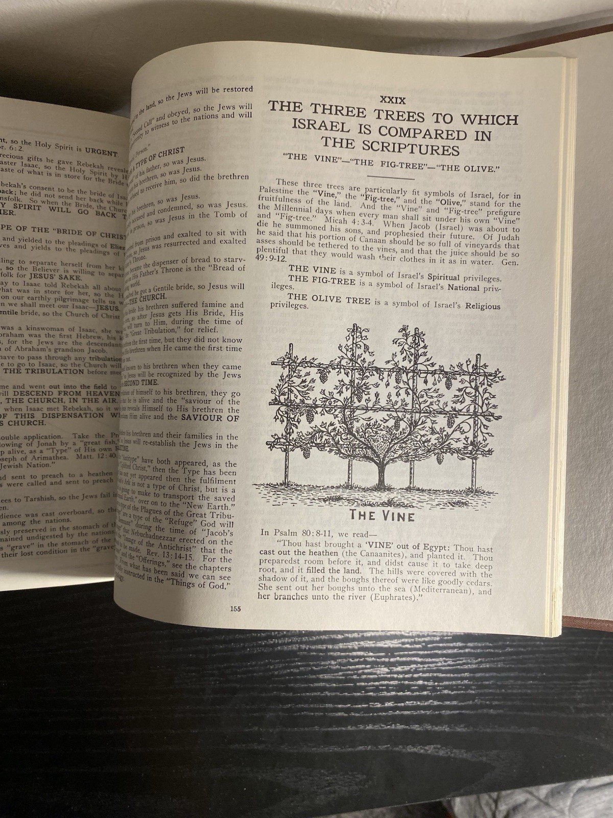 Dispensational Truth or God&rsquo;s Plan and Purpose in the Ages Clarence Larkin 1920