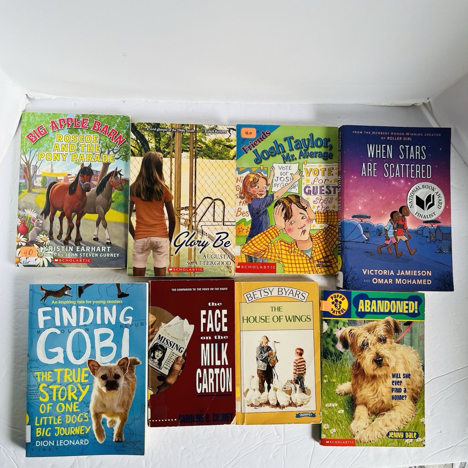 Lot of 10 Random 4th grade Children&rsquo;s Kids Chapter Book Some series Elementary