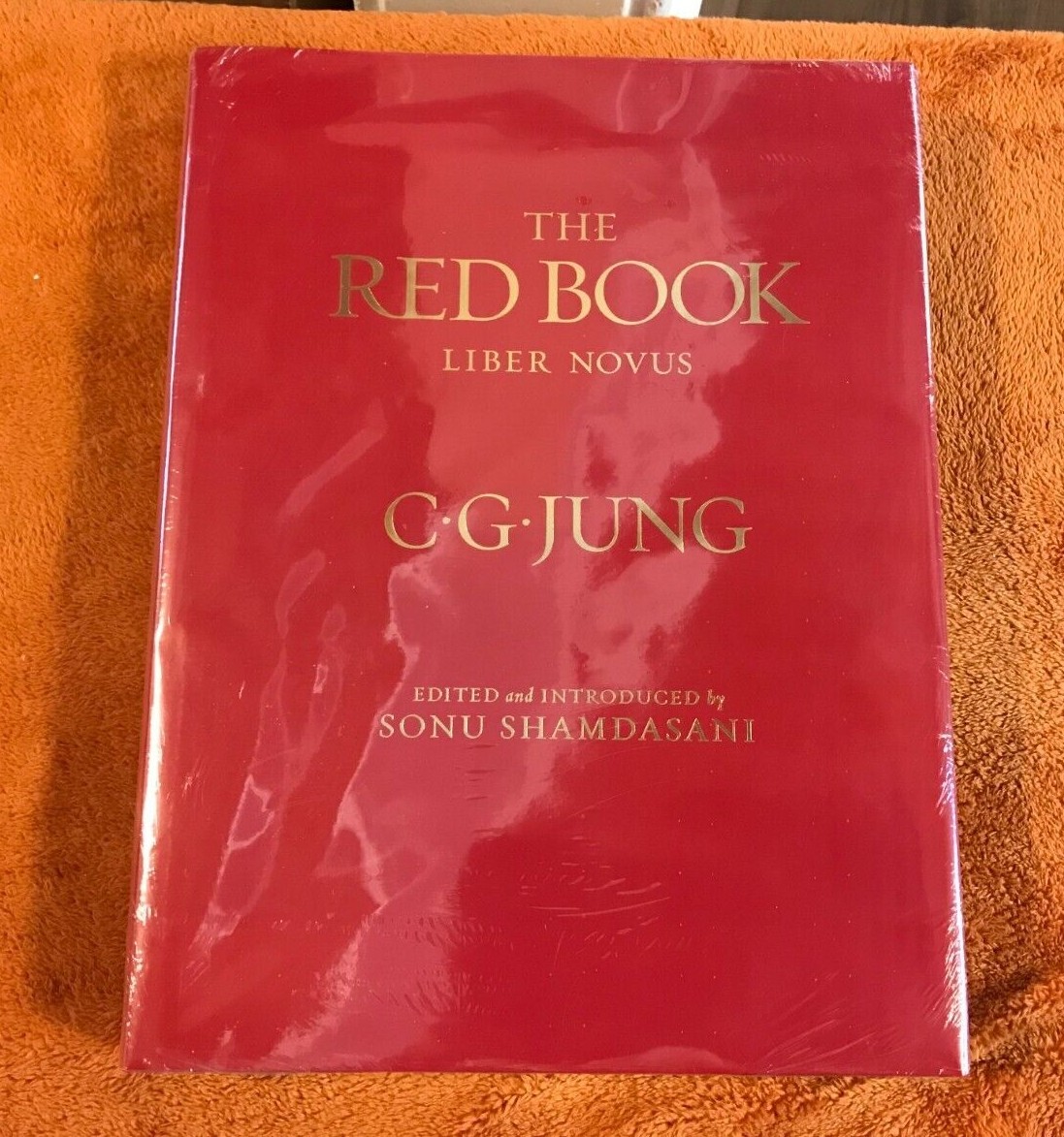 C.G. Carl Jung hardcover THE RED BOOK liber novus SEALED philemon &rsquo;09 illus eng!