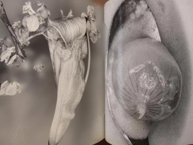 Nobuyoshi Araki « Erotos » Photo Book First edition Hardcover Japanese