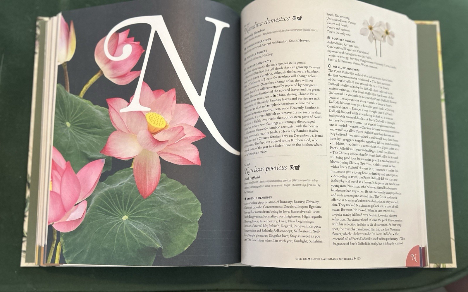 The Complete Language of Herbs Illustrated S. Theresa Dietz 2017 HC