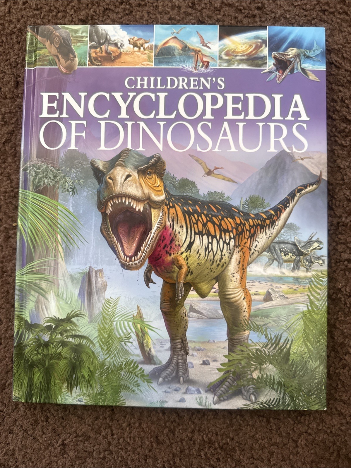 Children&rsquo;s Encyclopedia of Dinosaurs – Hardcover By Hibbert, Clare – GOOD