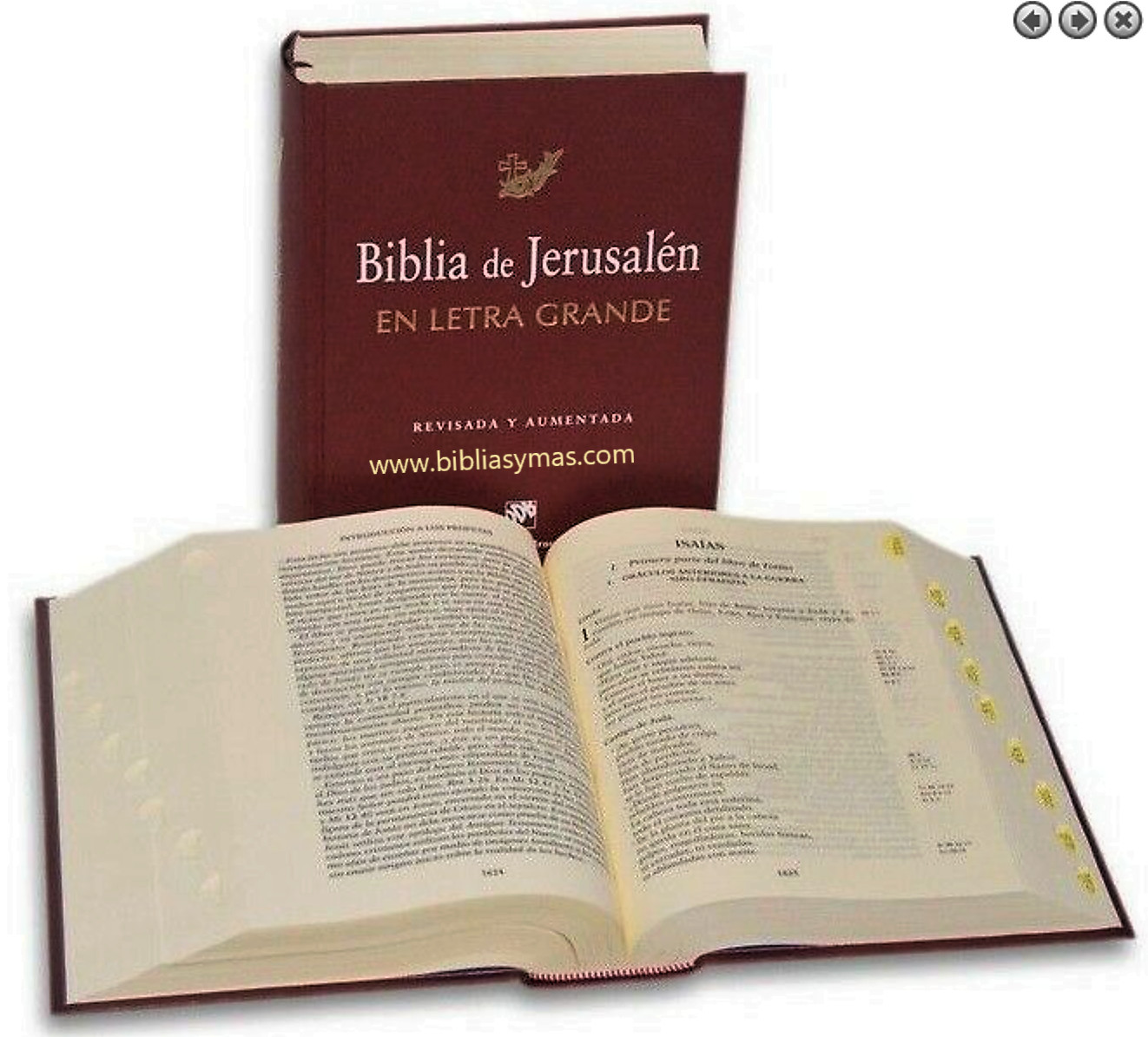 Biblia de Jerusalen Edicion Revisada y Ampliada letra grande Indices Catolica