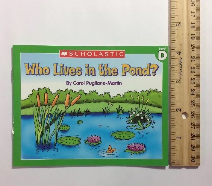 Childrens Books Level D Guided Reading Lot 15
