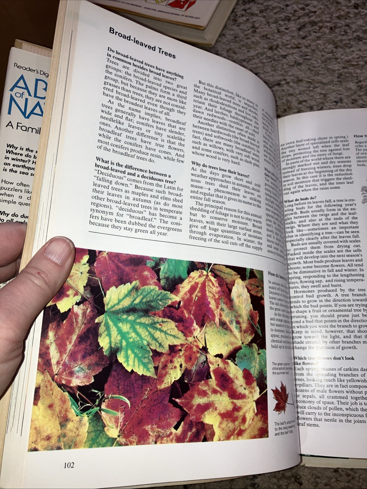 Readers Digest ABC&rsquo;s of Nature HC 1984 336 Pages Dust Jacket Family Answer Book