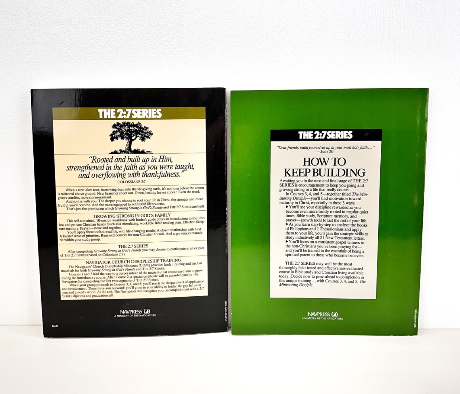 Growing Strong in God&rsquo;S Family: Rooted and Built up in Him -The 2:7 Series 2 LOT