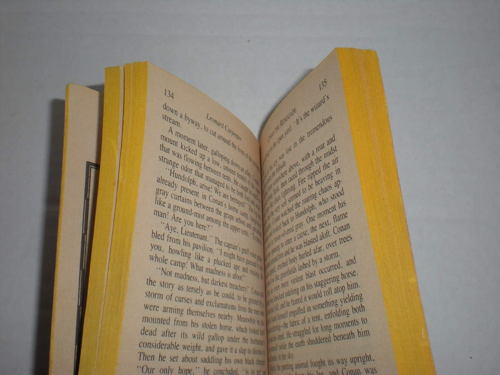 Conan The Renegade by Leonard Carpenter Barbarian Fantasy Paperback 1986 vtg