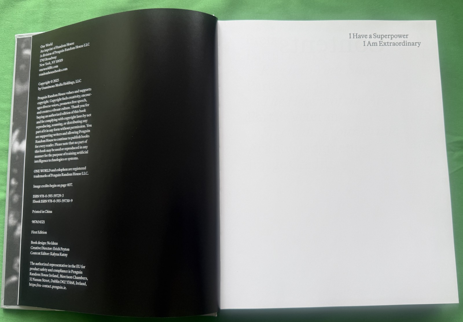 Shot Ready – Hardcover, by Curry Stephen First Edition Nice Book