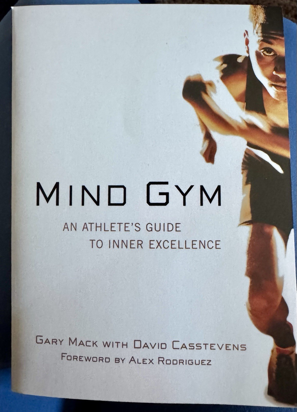 Mind Gym Book: An Athlete&rsquo;s Guide to Inner Excellence by David Casstevens