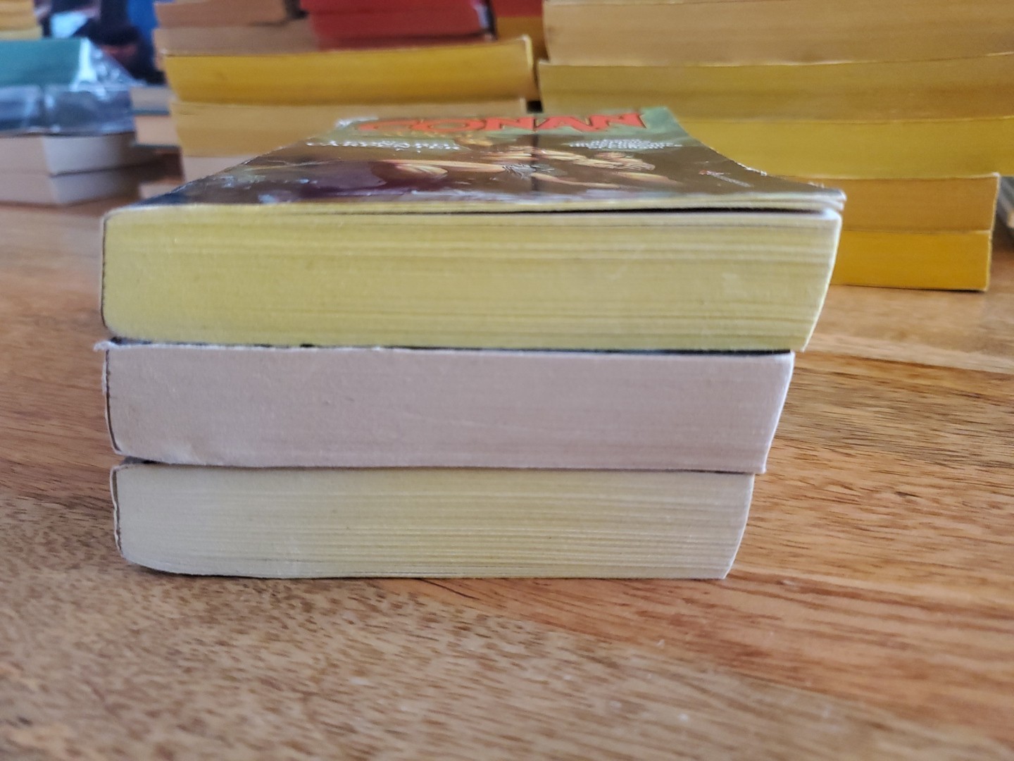 Conan Tor PB Lot 3 The Savage, Red Brotherhood, Gods of The Mountain – 1st Print