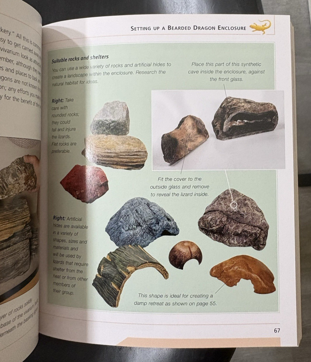 Barron&rsquo;s Mini Encyclopedia Bearded Dragons Chris Mattison Paperback 2011 Illus