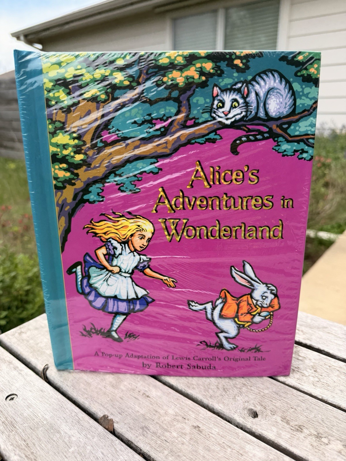 Alice&rsquo;s Adventures in Wonderland Robert Sabuda Pop Up Book New Sealed 2003