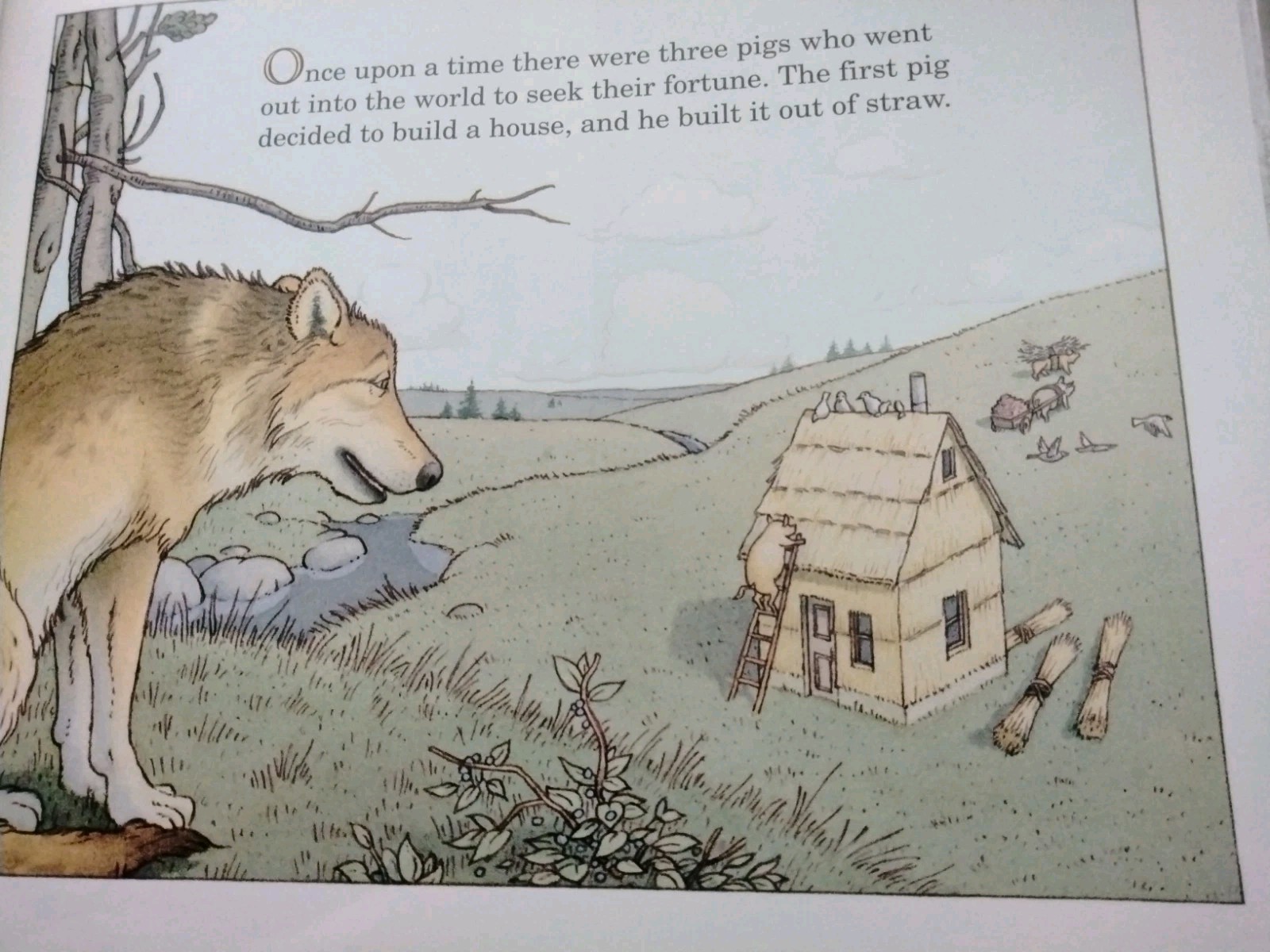 The Three Pigs by David Wiesner (Caldecutt Medal) HC/BJ/1st Ed./2001)