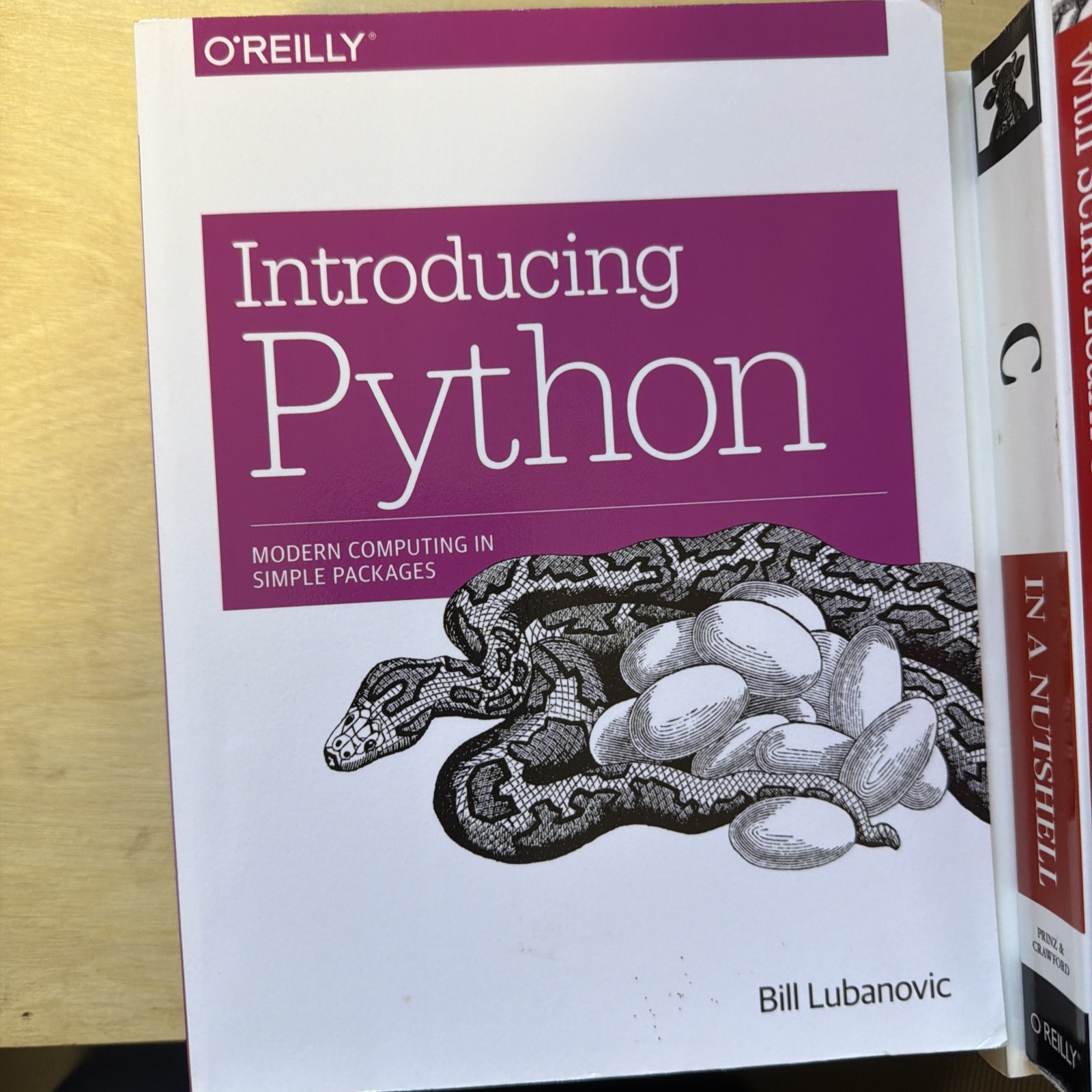 O&rsquo;Reilly Lot Of 13 Programming & CompSci Books Python SQL Java C Deep Learning