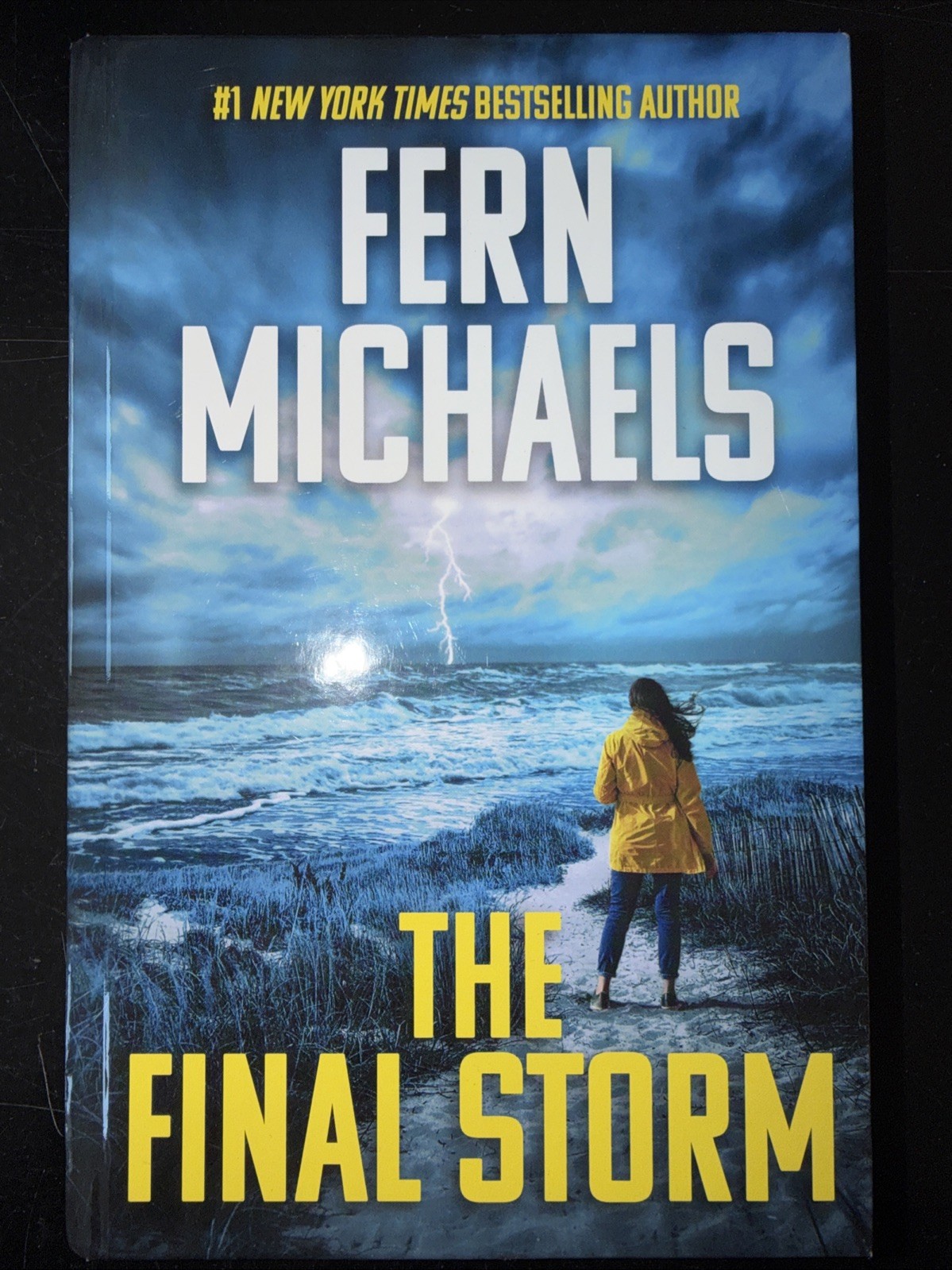 The Final Storm Hardcover by Fern Michaels