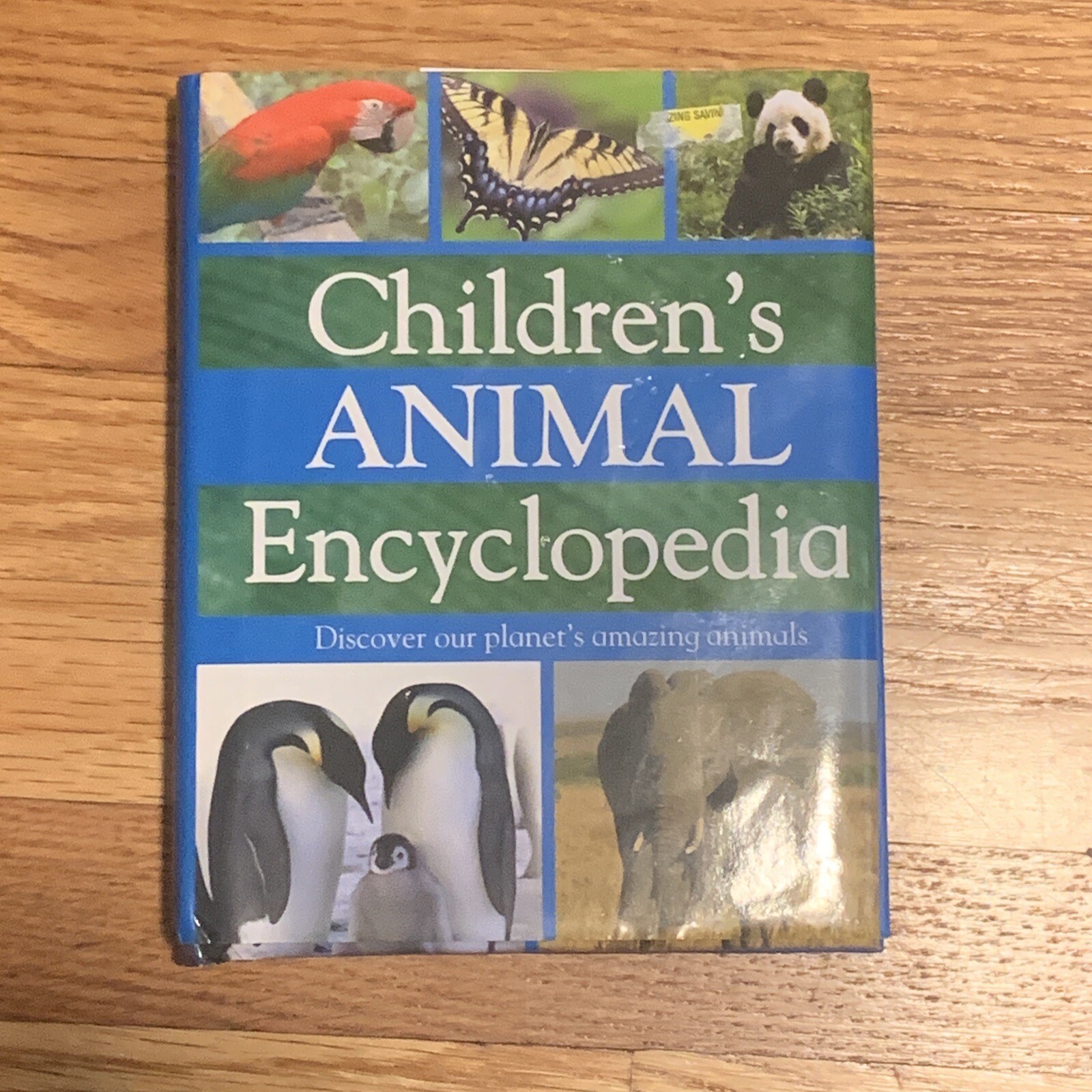 Mini Children&rsquo;s Reference Ser.: My First Animal Encyclopedia (2008, Hardcover)